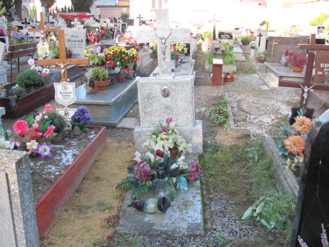 Grób Henryk Wiejacki