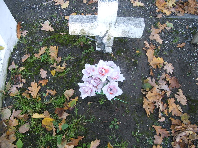   Kąty Wrocławskie - Grobonet - Wyszukiwarka osób pochowanych